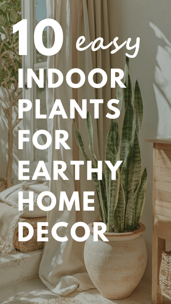 easy-indoor-plants-earthy-decor3 10 easy indoor plants for earthy home decor, featuring a stylish potted plant by a sunny window.